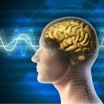 10 Tips Meningkatkan Fokus dan Konsentrasi Secara Alami
