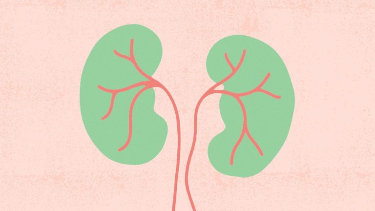 10 Tips Sederhana untuk Menjaga Kesehatan Ginjal Anda